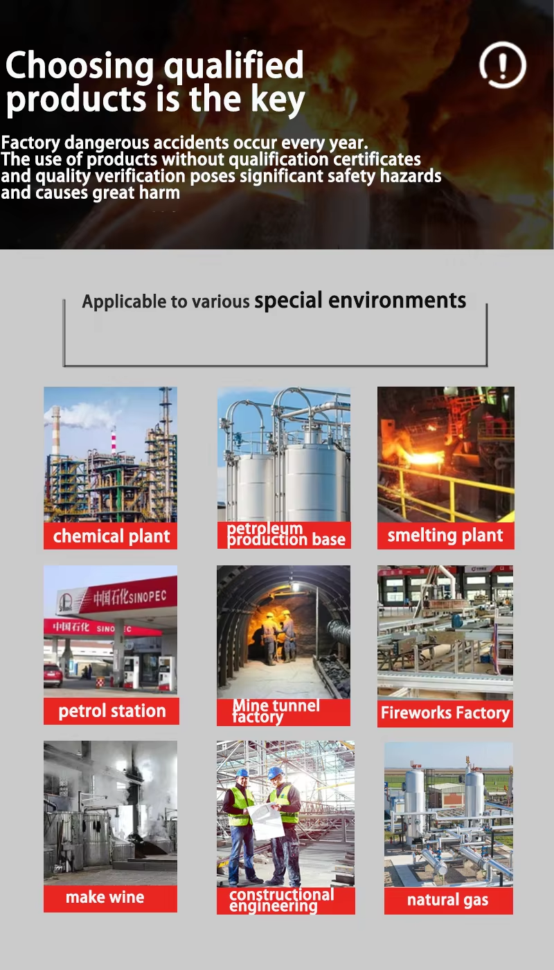 Explosion-proof Camera 